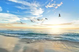 2911 Woodpine Ct, Sarasota, FL 34231 - Photo 87