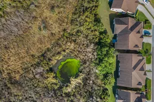 9405 Palm Haven Ct, New Port Richey, FL 34655 - Photo 37