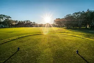 6622 Pine Walk Dr, New Port Richey, FL 34655 - Photo 65