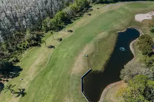 9713 Sweeping View Dr, New Port Richey, FL 34655 - Photo 39