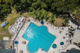 9713 Sweeping View Dr, New Port Richey, FL 34655 - Photo 55