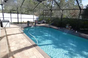 3604 Windance Ave, Spring Hill, FL 34609 - Photo 11