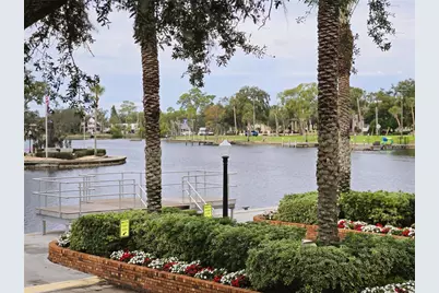 743 Cajeput Loop, Tarpon Springs, FL 34689 - Photo 71