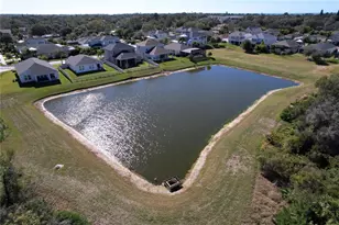 743 Cajeput Loop, Tarpon Springs, FL 34689 - Photo 57