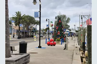 743 Cajeput Loop, Tarpon Springs, FL 34689 - Photo 69