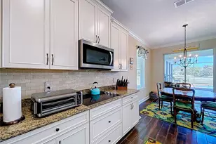 743 Cajeput Loop, Tarpon Springs, FL 34689 - Photo 13