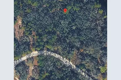 34273 Belt Drive, Dade City, FL 33523 - Photo 7