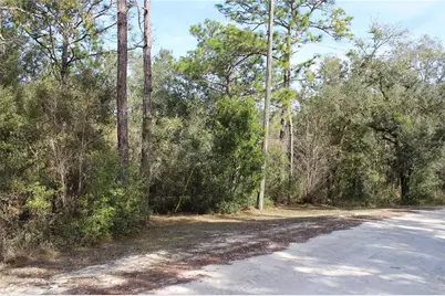 34273 Belt Drive, Dade City, FL 33523 - Photo 1