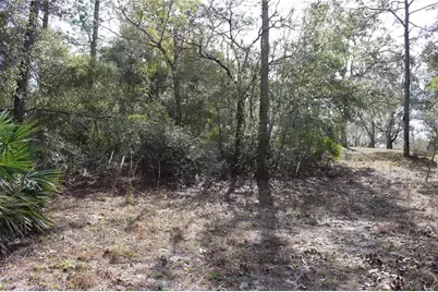 34273 Belt Drive, Dade City, FL 33523 - Photo 3