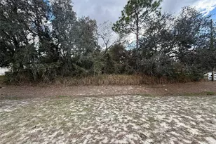 0 Centralia Rd, Weeki Wachee, FL 34614 - Photo 1