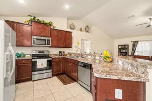 4299 Dristol Ave, Spring Hill, FL 34609 - Photo 9