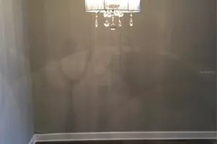 413 S Bayshore Blvd, Safety Harbor, FL 34695 - Photo 9