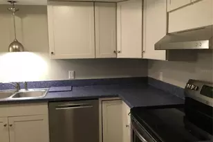 413 S Bayshore Blvd, Safety Harbor, FL 34695 - Photo 5