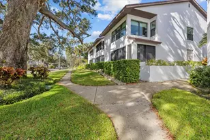 413 S Bayshore Blvd, Safety Harbor, FL 34695 - Photo 31