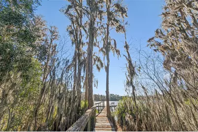 11008 Nest Court, Odessa, FL 33556 - Photo 43