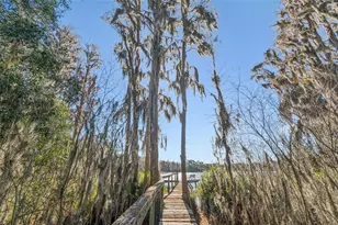 11008 Nest Ct, Odessa, FL 33556 - Photo 43