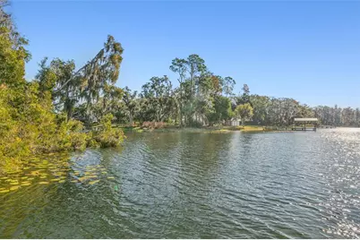 11008 Nest Court, Odessa, FL 33556 - Photo 47