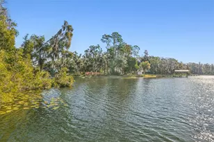 11008 Nest Ct, Odessa, FL 33556 - Photo 47