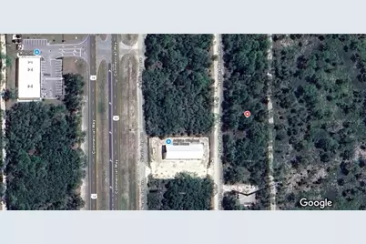 17108 Necklace Warbler Avenue, Brooksville, FL 34614 - Photo 1