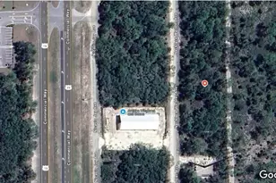 17108 Necklace Warbler Ave, Brooksville, FL 34614 - Photo 1