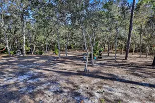 11360 Mountain Bluebird Rd, Brooksville, FL 34614 - Photo 3