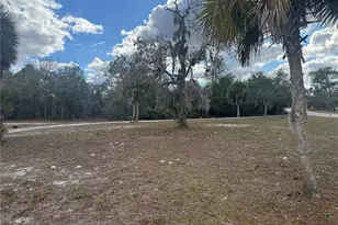 8104 Ridge Rd, Weeki Wachee, FL 34613 - Photo 33