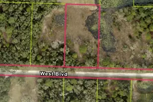 33467 West Blvd, Ridge Manor Estates, FL 33597 - Photo 1