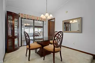 5519 Fulmar Dr, Tampa, FL 33625 - Photo 11