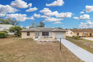 11196 Redgate St, Spring Hill, FL 34609 - Photo 1