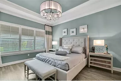 11470 Bitola Drive, Odessa, FL 33556 - Photo 33