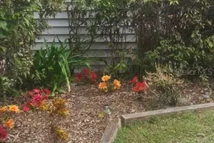 12155 Environmental Dr, New Port Richey, FL 34654 - Photo 3