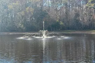 12155 Environmental Dr, New Port Richey, FL 34654 - Photo 45