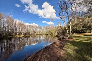 12155 Environmental Dr, New Port Richey, FL 34654 - Photo 1
