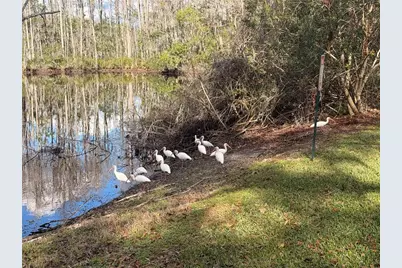 12155 Environmental Drive #6, New Port Richey, FL 34654 - Photo 27