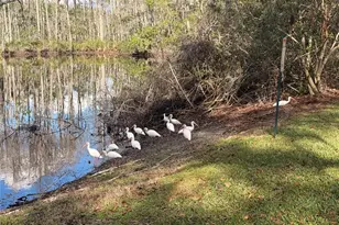 12155 Environmental Dr, New Port Richey, FL 34654 - Photo 27