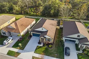 8128 Sequester Loop, Land O Lakes, FL 34637 - Photo 19