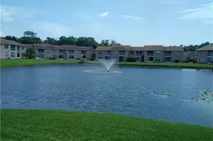 4826 Myrtle Oak Dr, New Port Richey, FL 34653 - Photo 35