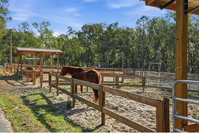 16000 Sam C Road, Brooksville, FL 34613 - Photo 13