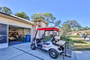 3096 Appleblossom Trail, Spring Hill, FL 34606 - Photo 39