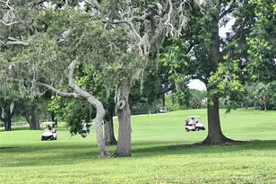 7519 Clanton Trail, Hudson, FL 34667 - Photo 83