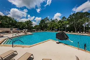 9630 Green Needle Dr, New Port Richey, FL 34655 - Photo 47