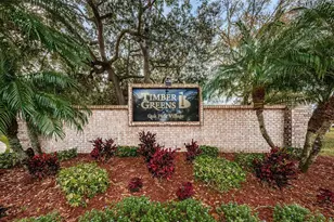 9630 Green Needle Dr, New Port Richey, FL 34655 - Photo 53