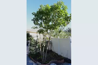 7435 Mohawk Trail, Spring Hill, FL 34606 - Photo 59