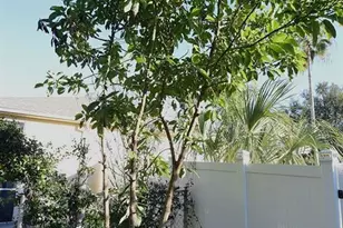 7435 Mohawk Trail, Spring Hill, FL 34606 - Photo 59