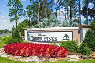 2587 Crystal Lake Dr, Spring Hill, FL 34606 - Photo 63