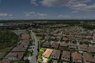 3877 Burdick Loop, Odessa, FL 33556 - Photo 45