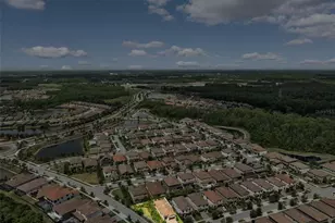 3877 Burdick Loop, Odessa, FL 33556 - Photo 43