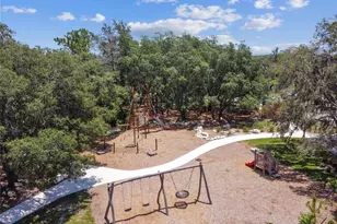 3877 Burdick Loop, Odessa, FL 33556 - Photo 53