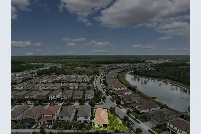 3877 Burdick Loop, Odessa, FL 33556 - Photo 49