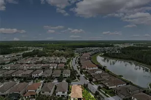 3877 Burdick Loop, Odessa, FL 33556 - Photo 49